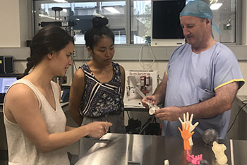 Sydney medical professionals examine the rifle rod technology Sydney medical professionals examine the rifle rod technology
