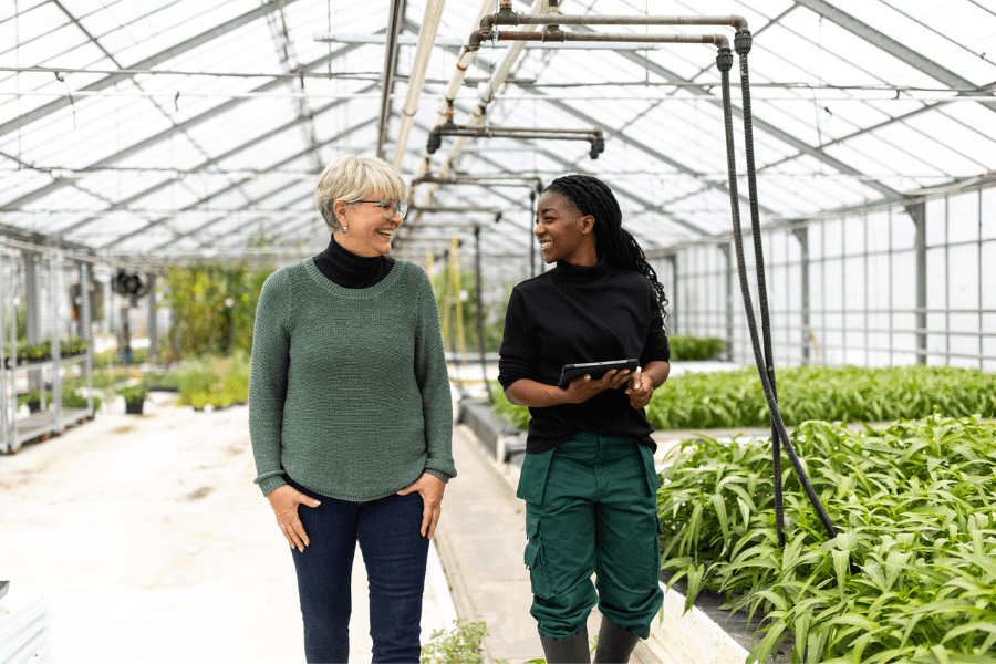 Commercial greenhouse owner and manager walking and talking inside the greenhouse