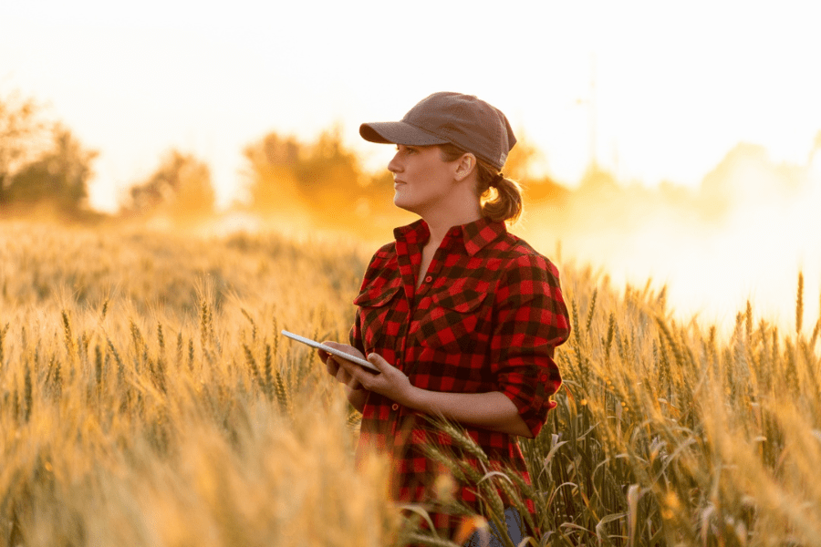 A farmer looks at her iPad