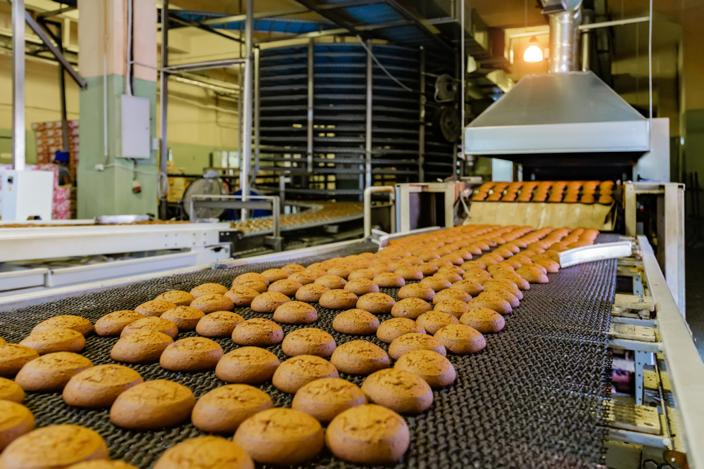 Biscuits on a production line