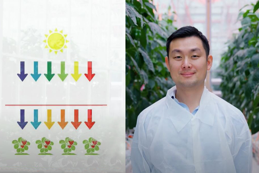 Dr Alexander Soeriyadi, CEO and co-founder of LLEAF