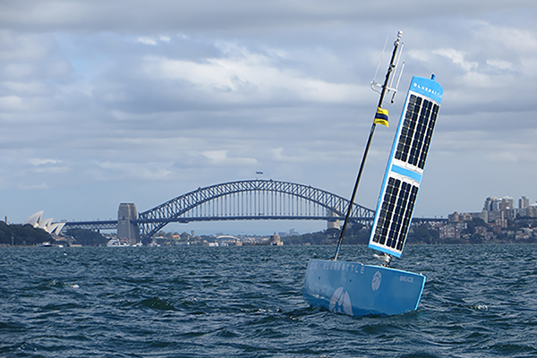 a device that is simlar to buoy with solar panels, floating in sydney harbour